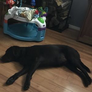 Meet your Posher, Christine